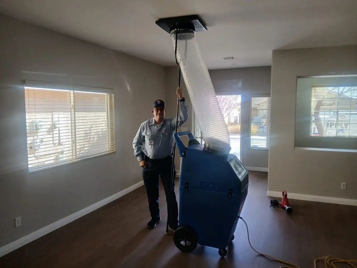 Professional Dryer Vent Cleaning work inside a Westbrook home